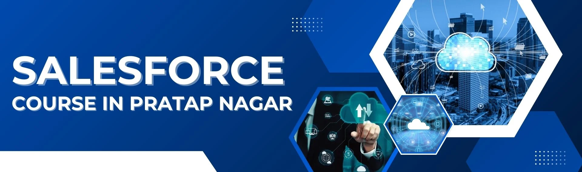 Salesforce Course in Pratap Nagar